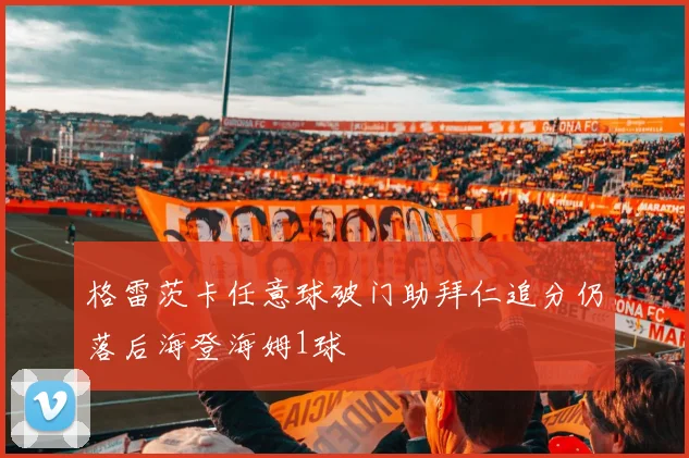 格雷茨卡任意球破门助拜仁追分仍落后海登海姆1球