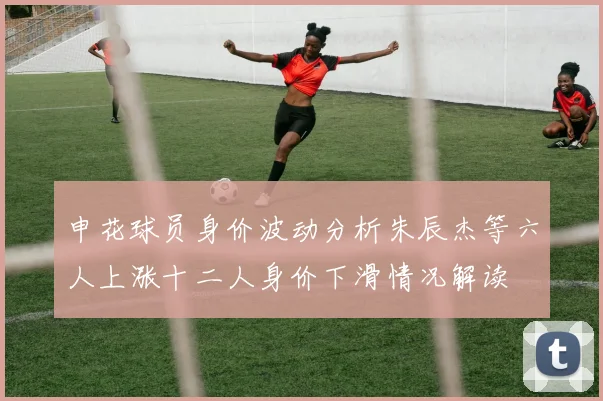 申花球员身价波动分析朱辰杰等六人上涨十二人身价下滑情况解读