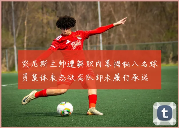突尼斯主帅遭解职内幕揭秘八名球员集体表态欲离队却未履行承诺